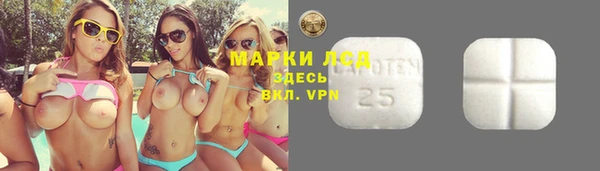 шишки Лабытнанги