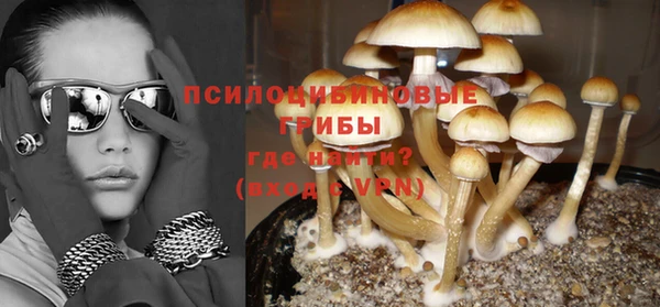 PSILOCYBIN Ачинск