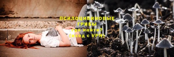 мдпв Анжеро-Судженск