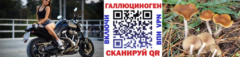 mega ссылка Лыткарино Галлюциногенные грибы мухоморы