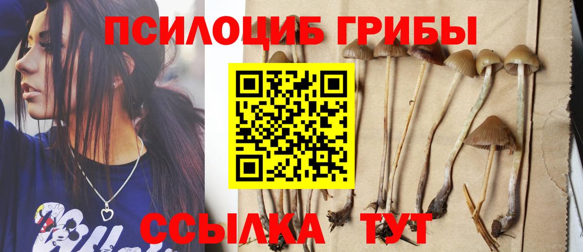 Псилоцибиновые грибы ЛСД Лыткарино